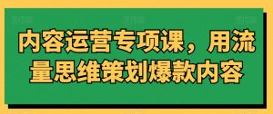 内容运营专项课,用流量思维策划爆款内容-苏柒资源库