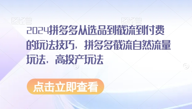 2024拼多多从选品到截流到付费的玩法技巧，拼多多截流自然流量玩法，高投产玩法-苏柒资源库
