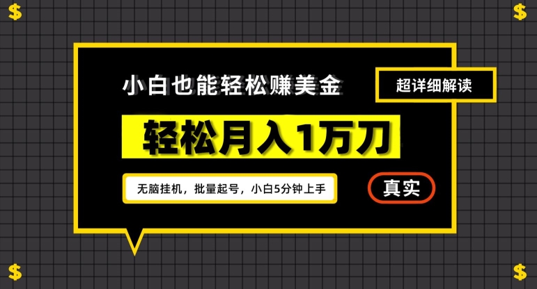 谷歌看广告撸美金2.0，无脑挂机，多号操作，月入1万刀【揭秘】-苏柒资源库