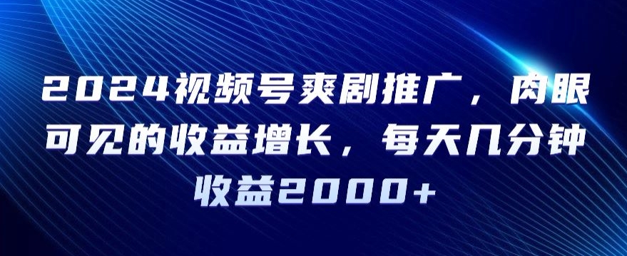 2024视频号爽剧推广，肉眼可见的收益增长，每天几分钟收益2000+【揭秘】-苏柒资源库