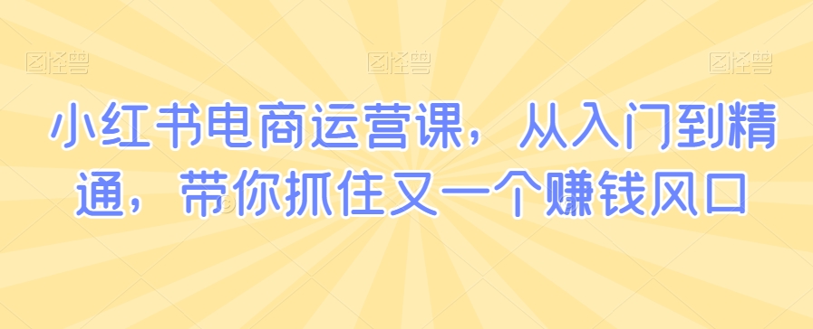 小红书电商运营课，从入门到精通，带你抓住又一个赚钱风口-苏柒资源库