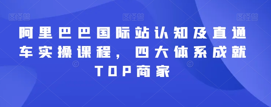 阿里巴巴国际站认知及直通车实操课程，四大体系成就TOP商家-苏柒资源库