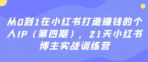 从0到1在小红书打造赚钱的个人IP(第四期),21天小红书博主实战训练营-苏柒资源库
