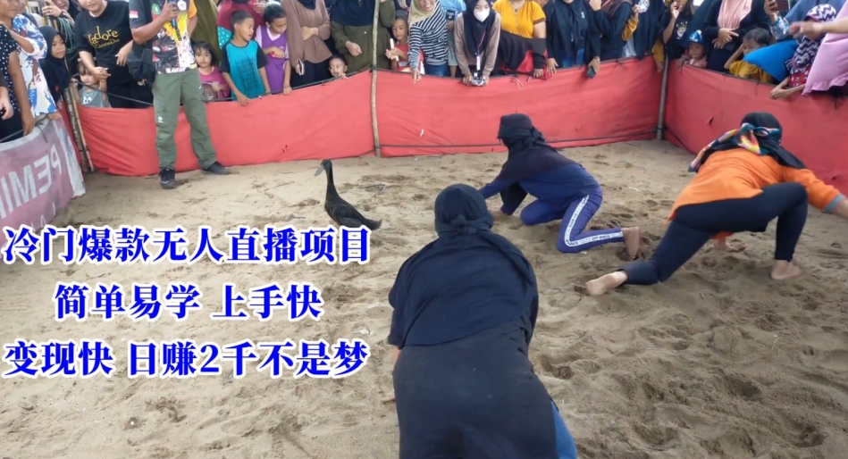 冷门爆款无人直播项目，简单易学上手快，变现快日赚2千不是梦【揭秘】-苏柒资源库