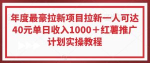 年度最豪拉新项目拉新一人可达40元单日收入1000＋红薯推广计划实操教程【揭秘】-苏柒资源库