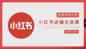 安琪-小红书店铺无货源实战,开店到售后全流程操作-苏柒资源库
