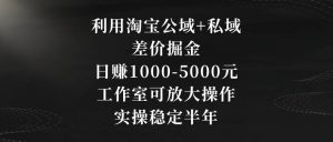 利用淘宝公域+私域差价掘金,日赚1000-5000元,工作室可放大操作,实操稳定半年【揭秘】-苏柒资源库