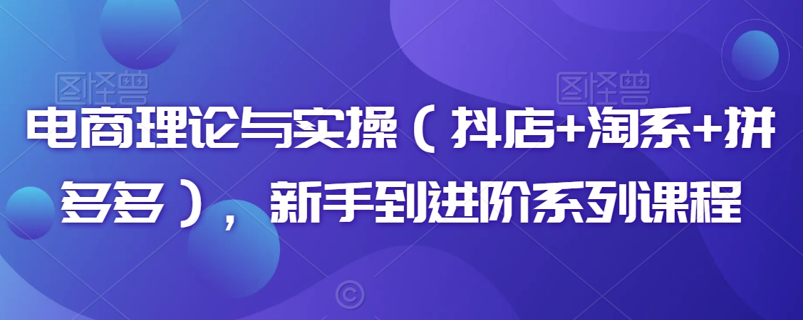 电商理论与实操（抖店+淘系+拼多多），新手到进阶系列课程-苏柒资源库