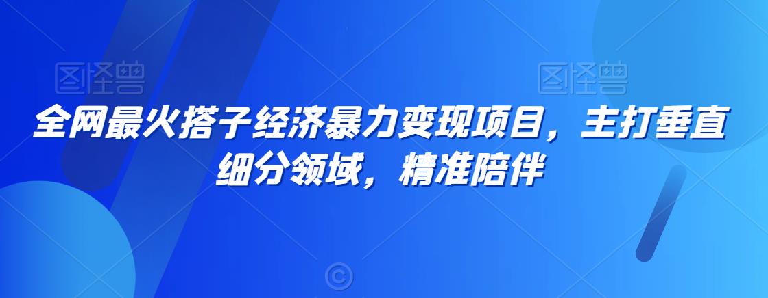 全网最火搭子经济暴力变现项目，主打垂直细分领域，精准陪伴【揭秘】-苏柒资源库