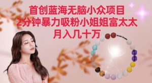 首创蓝海无脑小众项目,2分钟暴力吸粉小姐姐富太太,月入几十万【揭秘】-苏柒资源库