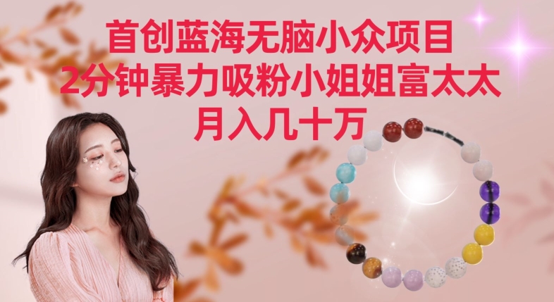 首创蓝海无脑小众项目，2分钟暴力吸粉小姐姐富太太，月入几十万【揭秘】-苏柒资源库