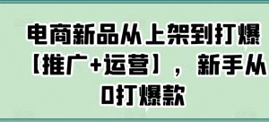 电商新品从上架到打爆【推广+运营】,新手从0打爆款-苏柒资源库