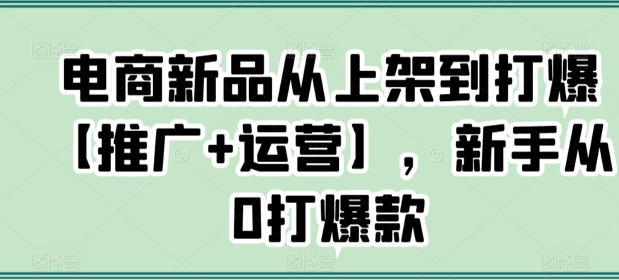 电商新品从上架到打爆【推广+运营】，新手从0打爆款-苏柒资源库