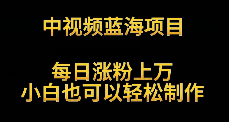 中视频蓝海项目，解读英雄人物生平，每日涨粉上万，小白也可以轻松制作，月入过万不是梦【揭秘】-苏柒资源库