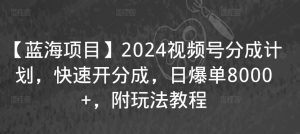 【蓝海项目】2024视频号分成计划，快速开分成，日爆单8000+，附玩法教程-苏柒资源库