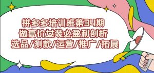 拼多多培训班第34期:做高价女装必盈利剖析选品/测款/运营/推广/拓展-苏柒资源库