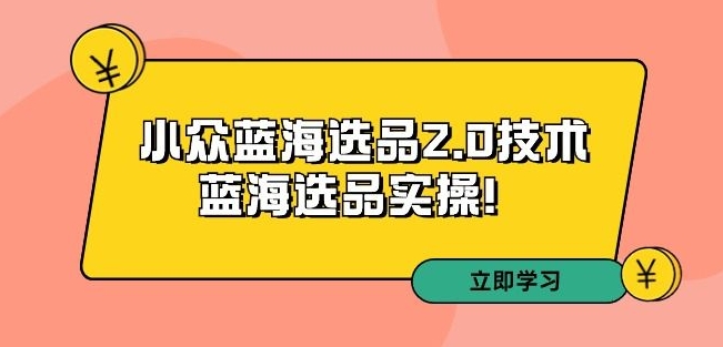 拼多多培训第33期：小众蓝海选品2.0技术-蓝海选品实操！-苏柒资源库