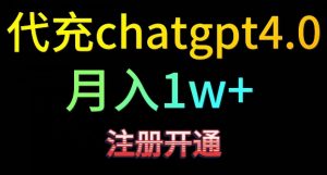 代充chatgpt4,日入500+,精准引流,暴力变现【揭秘】-苏柒资源库