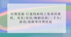 付费流量·巨量线索线上集训营课程，美发/美容/舞蹈培训/二手车/游戏/装修等付费投流-苏柒资源库