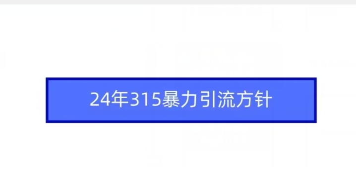 24年315暴力引流方针-苏柒资源库