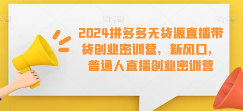 2024拼多多无货源直播带货创业密训营，新风口，普通人直播创业密训营-苏柒资源库