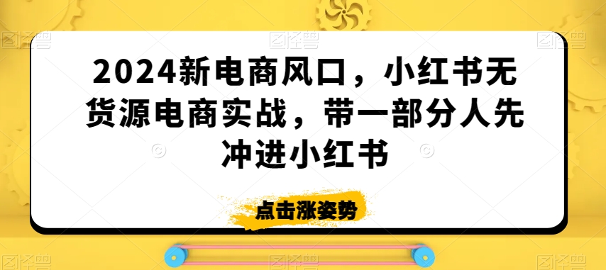2024新电商风口，小红书无货源电商实战，带一部分人先冲进小红书-苏柒资源库