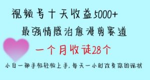 十天收益5000+，多平台捞金，视频号情感治愈漫剪，一个月收徒28个，小白一部手机轻松上手【揭秘】-苏柒资源库