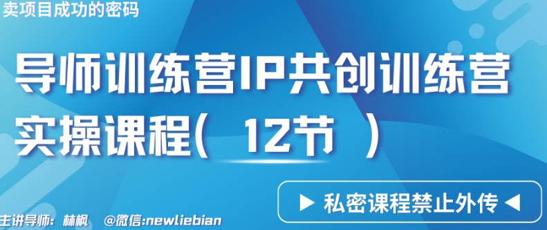 导师训练营3.0IP共创训练营私密实操课程（12节）-卖项目的密码成功秘诀【揭秘】-苏柒资源库