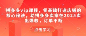 拼多多vip课程，零基础打造店铺的核心秘诀，助拼多多卖家在2025卖出爆款，订单不断-苏柒资源库