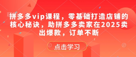 拼多多vip课程，零基础打造店铺的核心秘诀，助拼多多卖家在2025卖出爆款，订单不断-苏柒资源库