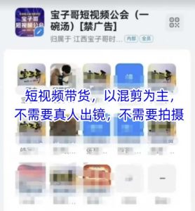 宝子哥头部团队短视频带货，以混剪为主，不需要真人出镜，不需要拍摄-苏柒资源库
