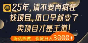 什么?25年你还在疯狂找项目做,醒醒吧,看完这些你全都懂了【揭秘】-苏柒资源库