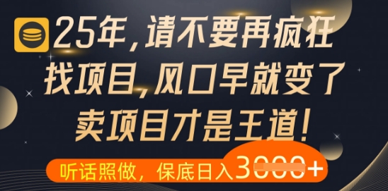 什么？25年你还在疯狂找项目做，醒醒吧，看完这些你全都懂了【揭秘】-苏柒资源库