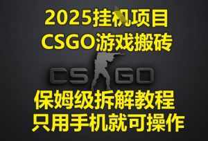 2025挂G项目，CSGO游戏搬砖，保姆级拆解教程，只用手机就可操作【揭秘】-苏柒资源库