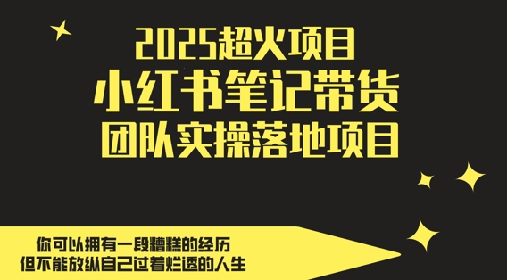 2025超火项目，副业最佳选择，小红书笔记带货团队实操落地项目，，轻松日入5张-苏柒资源库