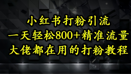 小红书打粉引流，一天轻松500+精准流量，大佬都在用的打粉教程-苏柒资源库