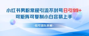 小红书男粉常规引流不封号日引99+变现简单 可矩阵可复制小白容易上手-苏柒资源库