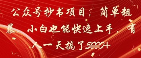 公众号抄书项目，简单粗暴，小白也能快速上手，有人一天搞了1k+-苏柒资源库