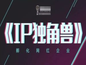 IP独角兽,孵化网红企业,ip教程-苏柒资源库