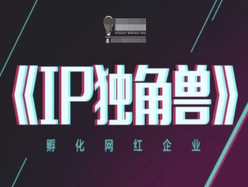 IP独角兽，孵化网红企业，ip教程-苏柒资源库