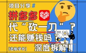 【2025最新】拼多多代坎助力项目深度拆解:还能挣钱吗?全流程玩法-苏柒资源库