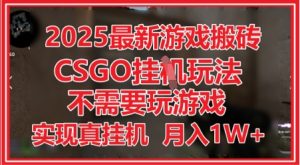 2025最新游戏搬砖,CSGO挂G,不需要玩游戏,实现真挂G,月入1W+【揭秘】-苏柒资源库