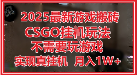 2025最新游戏搬砖，CSGO挂G，不需要玩游戏，实现真挂G，月入1W+【揭秘】-苏柒资源库