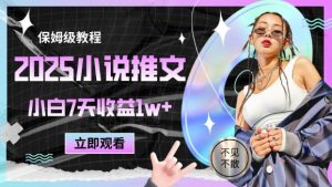 2025小说推文最新玩法，推文保姆级教程，小白7天收益1w+-苏柒资源库