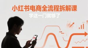 小红书电商全流程拆解课,学这一门就够了-苏柒资源库