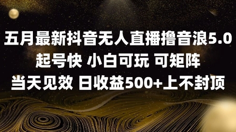 2025五月最新无人直播撸音浪单日产出5张+实操教程【揭秘】-苏柒资源库