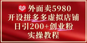 外面卖5980开设拼多多虚拟店铺：单日引流200+创业付费粉实战教程-苏柒资源库