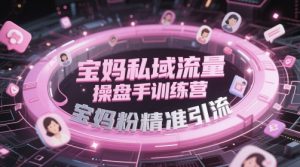 宝妈私域流量操盘手训练营,宝妈粉精准引流-苏柒资源库