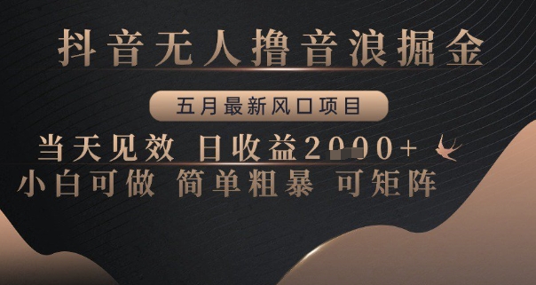 抖音无人撸音浪掘金，五月最新风口项目，当天见效，日收益多张，小白可做简单粗暴可矩阵【揭秘】-苏柒资源库