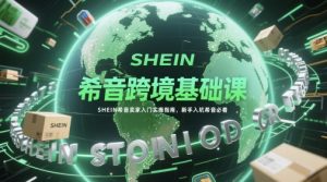 希音跨境基础课，SHEIN希音卖家入门实操指南，新手入坑希音必看-苏柒资源库